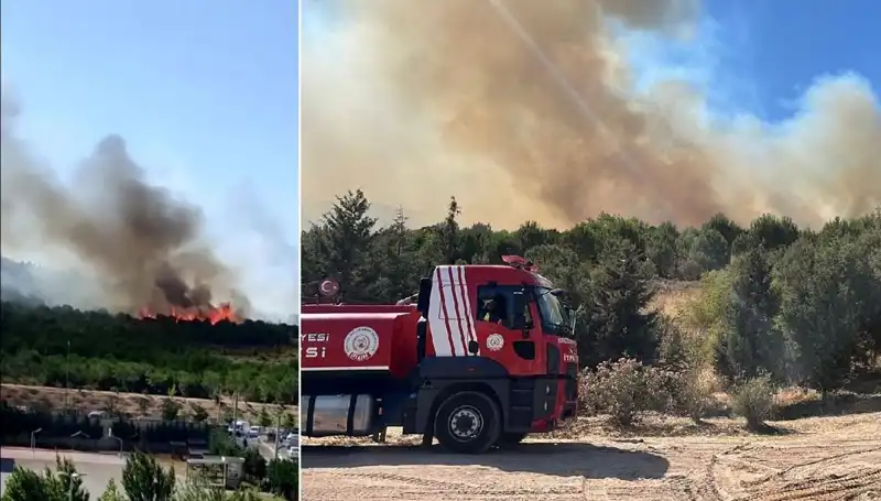 Gebze'deki Orman Yangını: Yangının Nedeni ve Son Durum İşte Burada