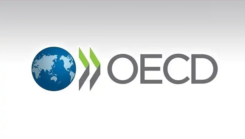 OECD, Türkiye Ekonomisi İçin 2024 Büyüme Tahminini Güncelledi