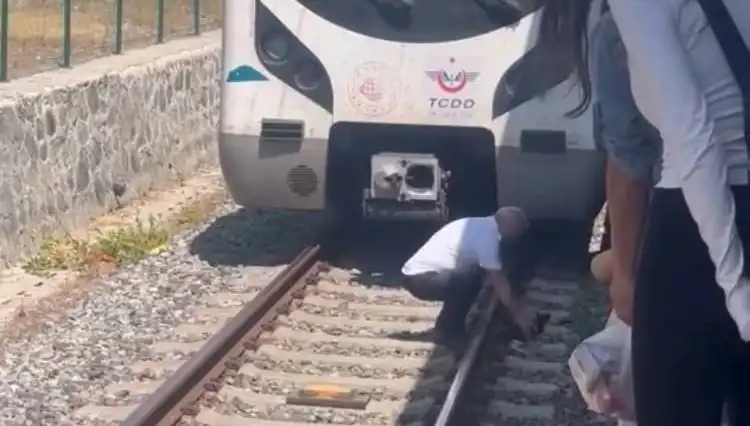 Raylardaki Kediyi Gören Makinist, Marmaray'ı Duraklatmayı Tercih Etti