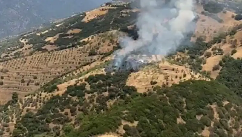Aydın'da Korkutan Zeytinlik Yangını: Çiftçiler Zarar Görüyor!