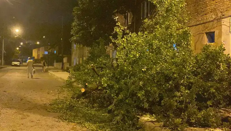 Karabük'te Fırtına Sonrası Yaşanan Zararlar ve Kurtarma Çalışmaları