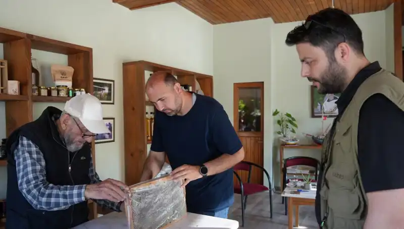 Şifa ve Zehir: 1 Çay Kaşığı ile İyileşme Sırları