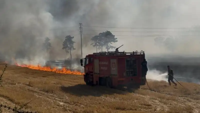Kırklareli'nde Korkutan Anız Yangını: Tarım Alanları Tehlikede
