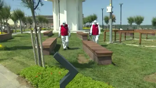 Kene Görülme Sıklığı Arttı: Açık Alanlarda İlaçlama Uygulaması Başlatıldı