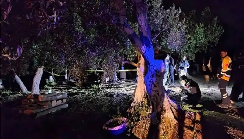 Çiftlikte Baltalı Vahşet: Olayın Ardındaki Gerçekler ve İlk Tutuklama