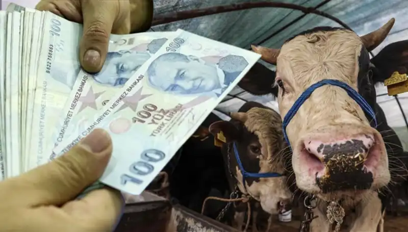 Kurban Bayramı Öncesi Maaşlar Yatıyor mu? Emekliler ve Memurlar Ne Zaman Alacak?