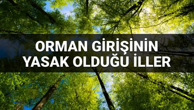 2025'te Hangi İllerde Ormana Girmek Yasak? İşte Detaylar!