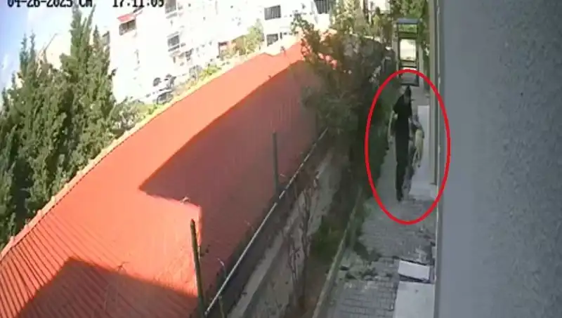 Veteriner Hekim, Evinde Köpekleri Parçaladığı İddiasıyla Gözaltına Alındı