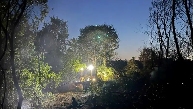 Edirne'de Orman Yangını Kontrol Altına Alındı: Doğanın Yeniden Hayat Bulması