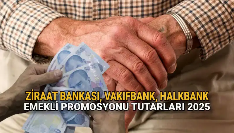2025’te Kamu Bankalarında Emekli Promosyonları: Ziraat, Vakıfbank ve Halkbank Neler Sunuyor?