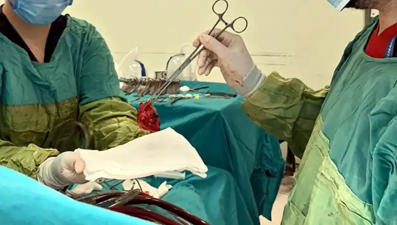 Kalp Kapağı Çürümüş, 7 Saatlik Ameliyatla Hayata Dönüldü
