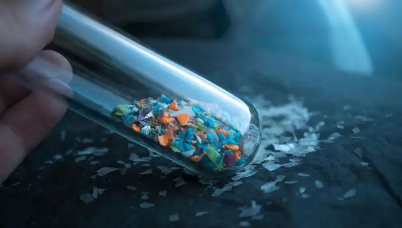 Mikroplastikler İnsan Beynine Sızıyor: Sağlığımızı Tehdit Eden Etkileri Neler?