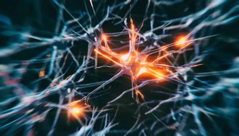 Alzheimer Vakaları Son Yıllarda Neden Hızla Artıyor?