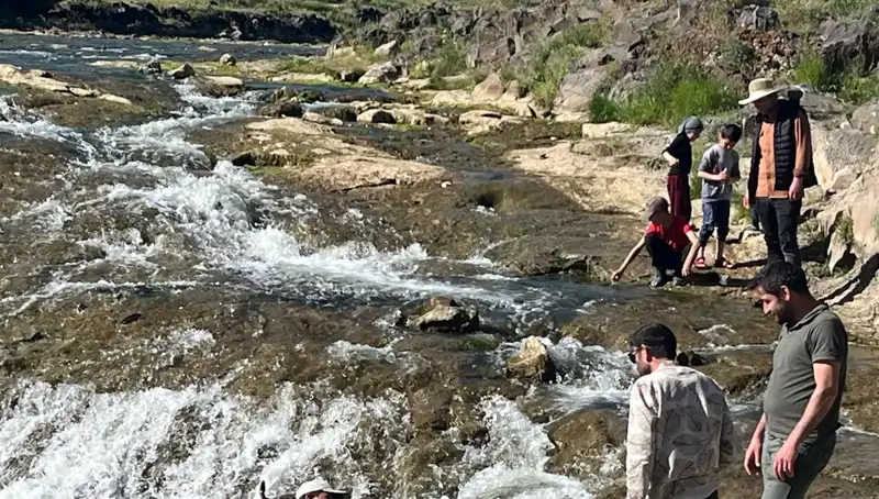 İnci Kefalinin Göçü: Doğanın Eşsiz Gösterisi Turistleri Büyüledi