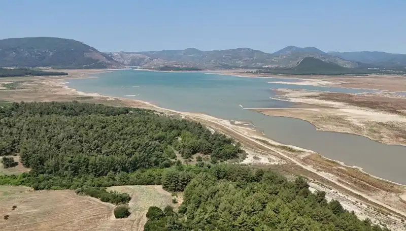 İzmir'de Tehlike Çanları Çalıyor: Sigorta Başvurularında Yüzde 50'lik Dram