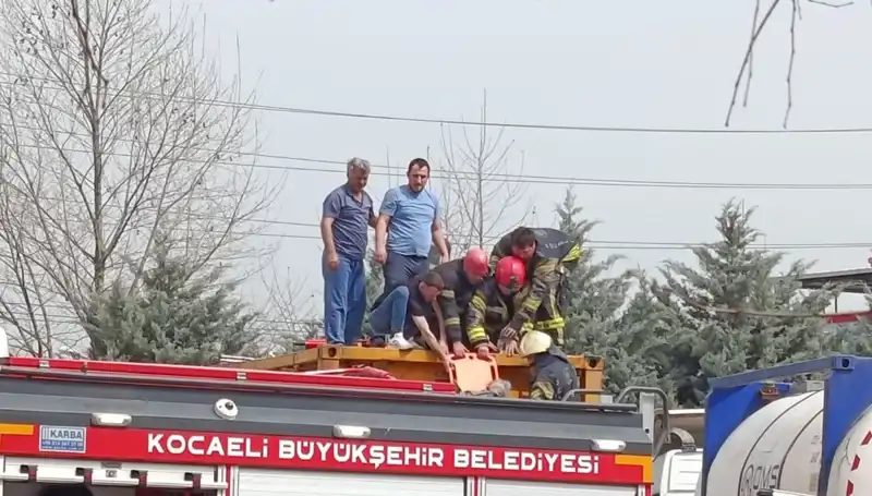 Tehlikeli Madde Taşıyan TIR Tankına Düşen Şoför Ağır Yaralandı